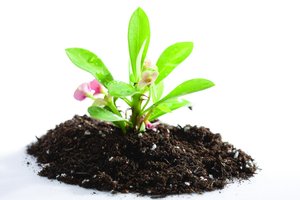 技术深度解析：原理与应用
